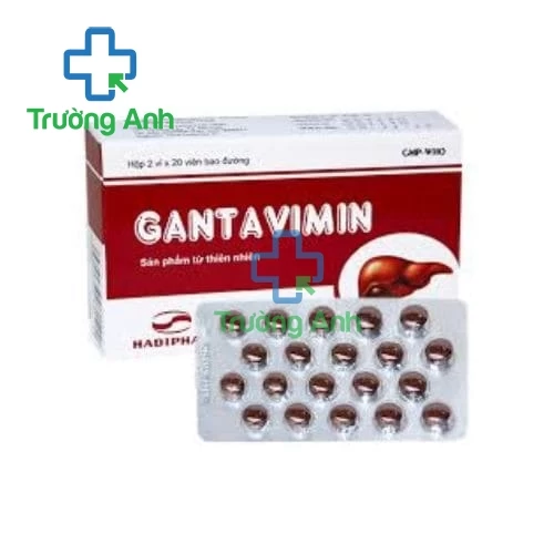 Gantavimin - Thuốc điều trị các bệnh về gan hiệu quả của Hadiphar